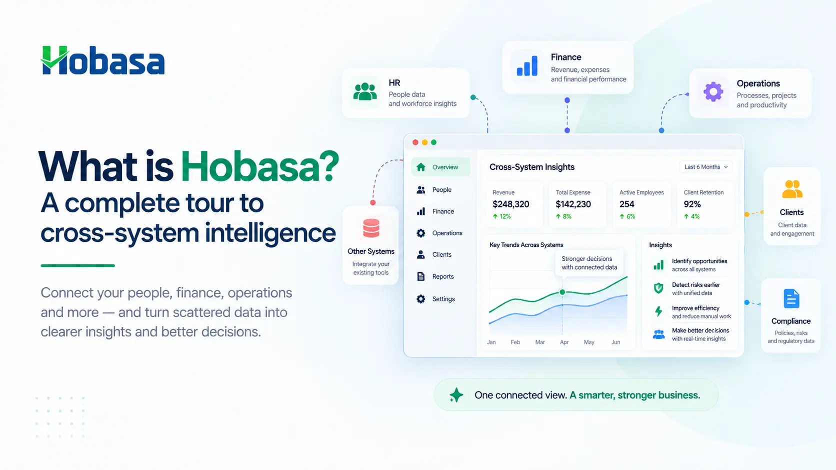 What is Hobasa? A complete tour to cross-system intelligence